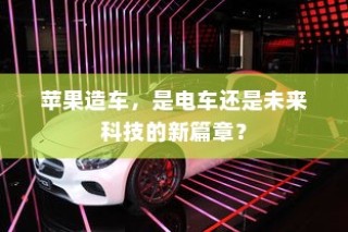 电车价格稳定背后的奥秘，探究为何电车价格不再波动的因素