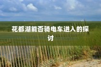 花都湖电车进入政策探讨，能否允许电动车进入园区？
