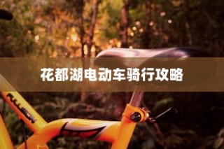 花都湖电动车骑行指南，畅游湖光山色，电车之旅启程