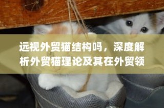 深度解析外贸猫理论，应用与启示于外贸领域的远视结构探讨