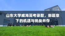 山东大学威海高考录取，新篇章下的机遇与挑战同步展开
