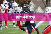 贵州体育大学录取分数解析
