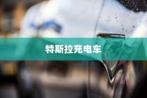 特斯拉充电车价位全面解析