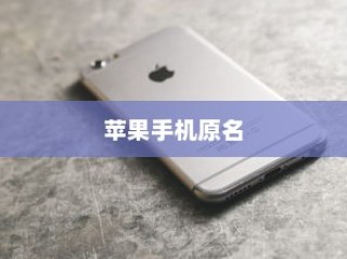 苹果手机原名揭秘，一段科技与历史的交织