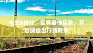 二十万左右纯电车选购指南，全方位解读你的电动选择之旅