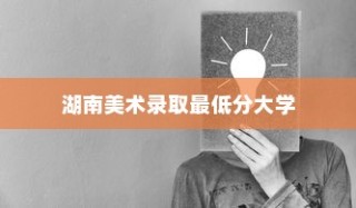 湖南美术录取最低分的大学，艺术教育的边界探索与挑战机遇