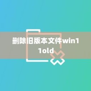 Win11系统删除旧版本文件win11old详解