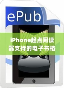 iPhone起点阅读器支持的电子书格式及阅读体验探讨