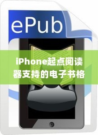 iPhone起点阅读器支持的电子书格式及阅读体验探讨