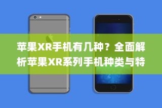 全面解析，苹果XR系列手机种类及其特点