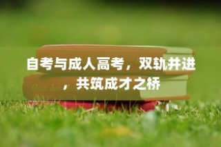 自考与成人高考，双轨并进，共筑成才梦想之桥