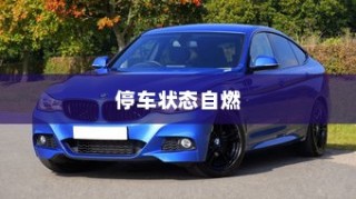 电动汽车安全性解析，停车状态下是否会自燃？