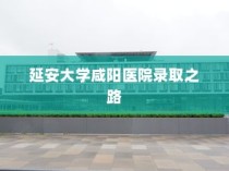 延安大学咸阳医院录取之路，机遇与挑战并存