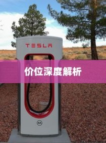 特斯拉充电车价位全面解析