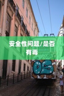 电车涂鸦材料深度解析，安全性问题与毒性探讨