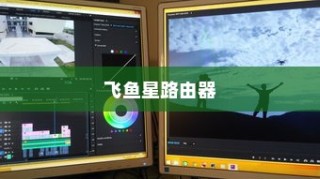 飞鱼星路由器使用指南，轻松掌握路由器设置与操作