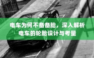 外贸猫结构深度解析，观察与洞察的未来视角