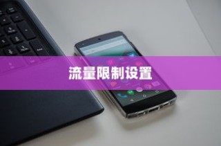 荣耀X50Pro手机流量限制设置详解