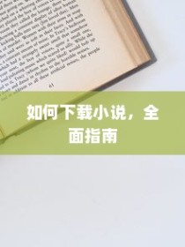 如何下载小说，全面指南