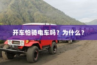 二十万左右纯电车推荐，最佳车型选择与购买指南