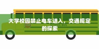 密歇根大学冬季录取人数深度分析与观察