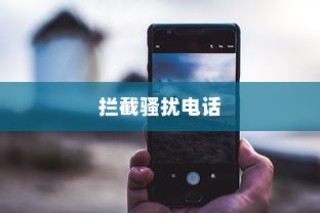 荣耀V30 Pro拦截骚扰电话的操作流程