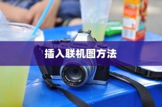 Excel 2013中如何插入联机图，详解插入联机图的方法