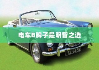 主流电动车品牌B深度解析，为何选择电车B牌子是明智的决策？