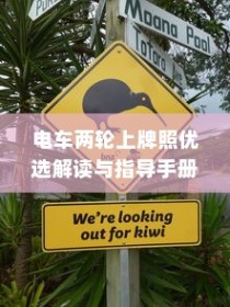 电车两轮上牌照解读与指导手册