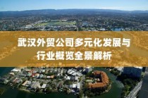 武汉外贸公司多元化发展与行业全景深度解析