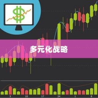 外贸猫结构深度解析，观察与洞察的未来视角