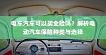 电动汽车保险种类解析与全险购买指南