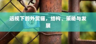 外贸猫，结构、策略与发展视角下的深度洞察