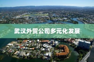 武汉外贸公司多元化发展与行业全景深度解析