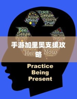手游加里奥支援攻略，玩转英雄角色加里奥的秘籍