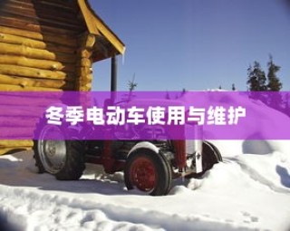 爱的强迫剧情，深度剖析与解读