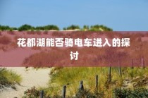 花都湖电车进入政策探讨，能否允许电动车进入园区？