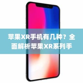 全面解析，苹果XR系列手机种类及其特点