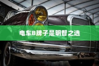 主流电动车品牌B深度解析，为何选择电车B牌子是明智的决策？
