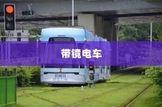 当下主流电动车品牌深度解析，电车B牌子哪家强？品牌优势全揭秘