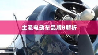 主流电动车品牌B深度解析，为何选择电车B牌子是明智的决策？
