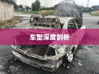 纯电车起火事件，车型深度解析与探讨