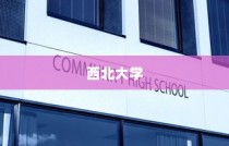 西北大学在辽宁省录取情况深度剖析