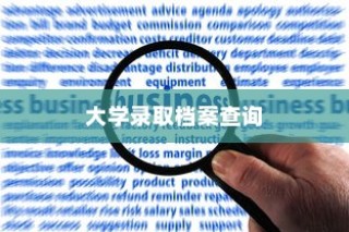 大学录取档案查询疑难解析，如何应对档案缺失的困扰？