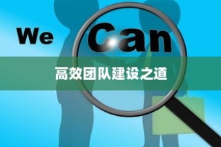 外贸团队外贸员管理优化策略，构建高效团队之道