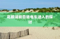 花都湖电车进入政策探讨，能否允许电动车进入园区？