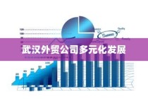 武汉外贸公司多元化发展与全球贸易网络构建的探索之路