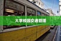 大学校园禁止电车进入，交通管理策略探讨