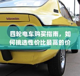 探寻电动车品牌之最，明智选购电车指南