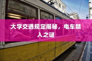 大学交通规定深度解析，电车禁入背后的秘密